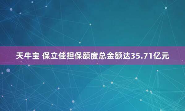 天牛宝 保立佳担保额度总金额达35.71亿元