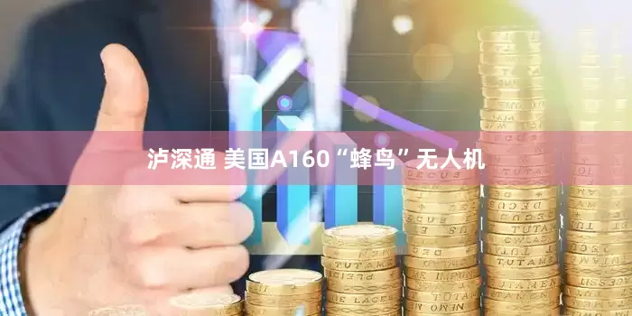 泸深通 美国A160“蜂鸟”无人机