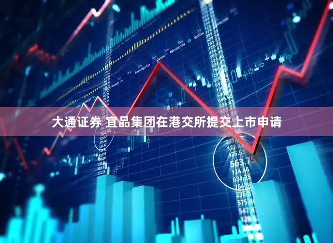 大通证券 宜品集团在港交所提交上市申请